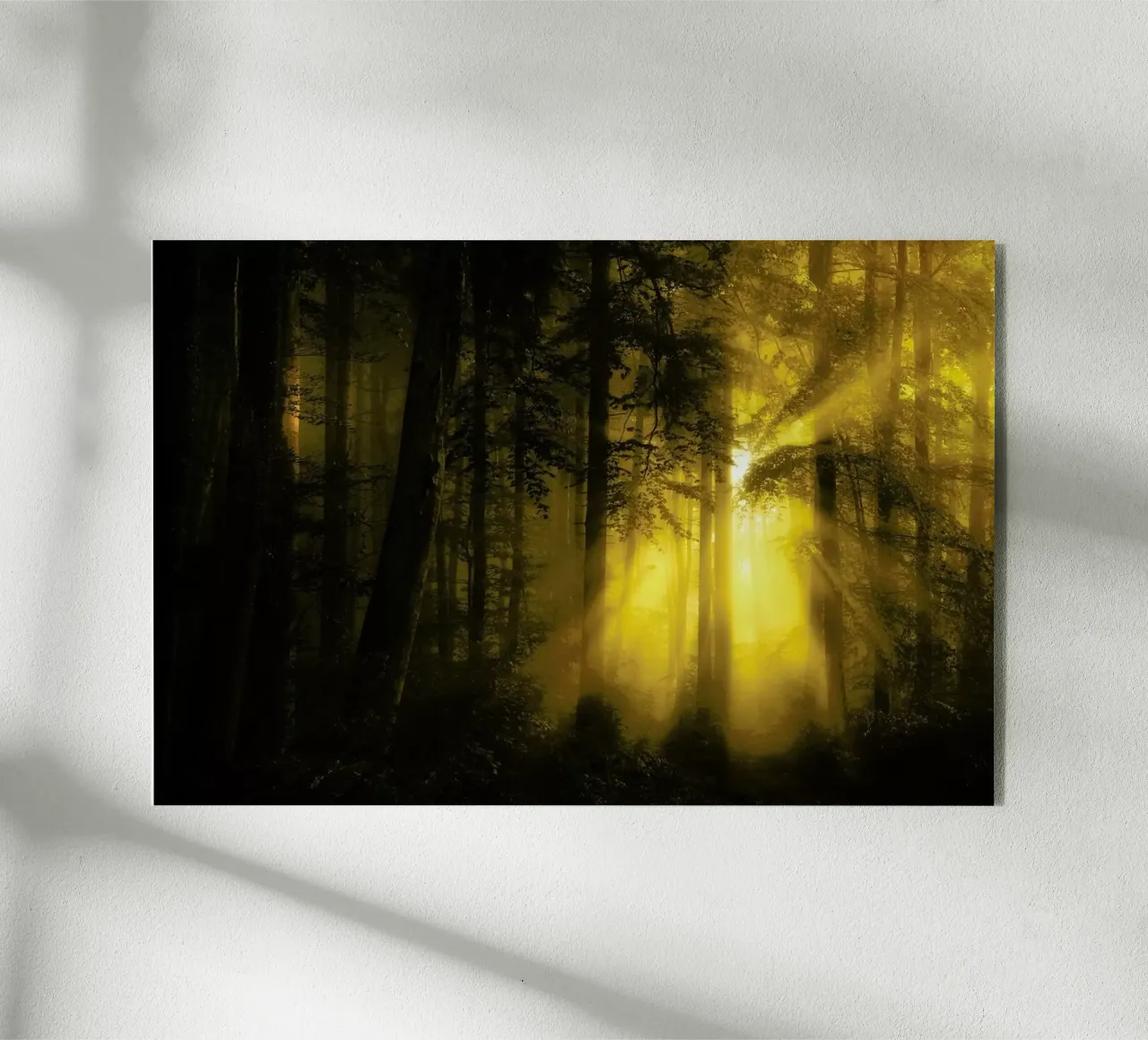 Yellow - Norbert Maier plexiglass da Pictufy