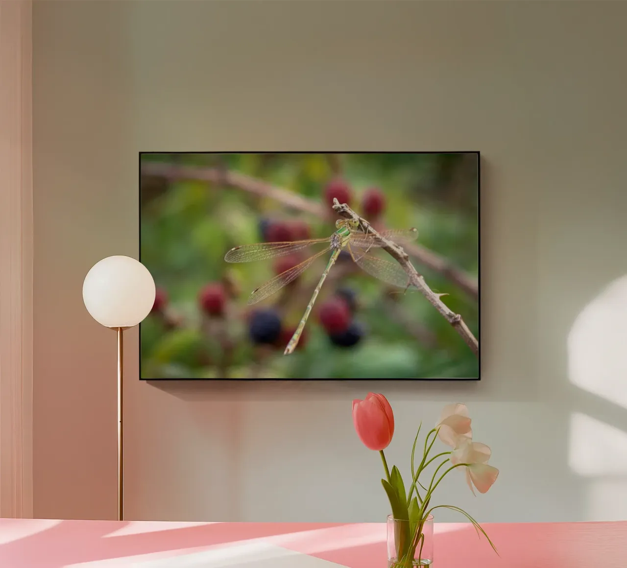 Libellule su un gelso plexiglass da MiniClic