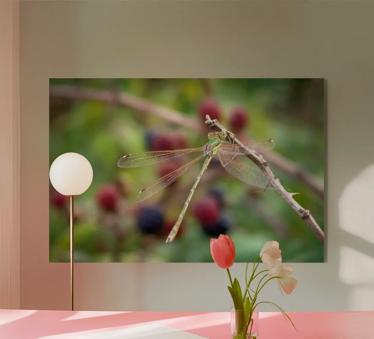 Libellule su un gelso plexiglass da MiniClic