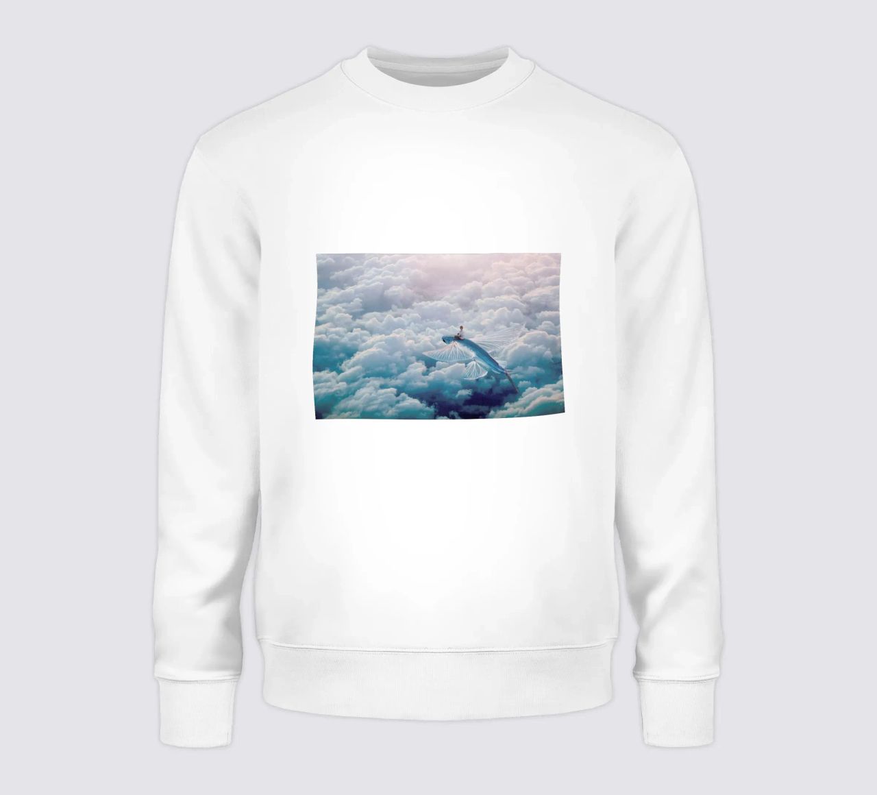 Plane sudadera de Eugene Soloviev