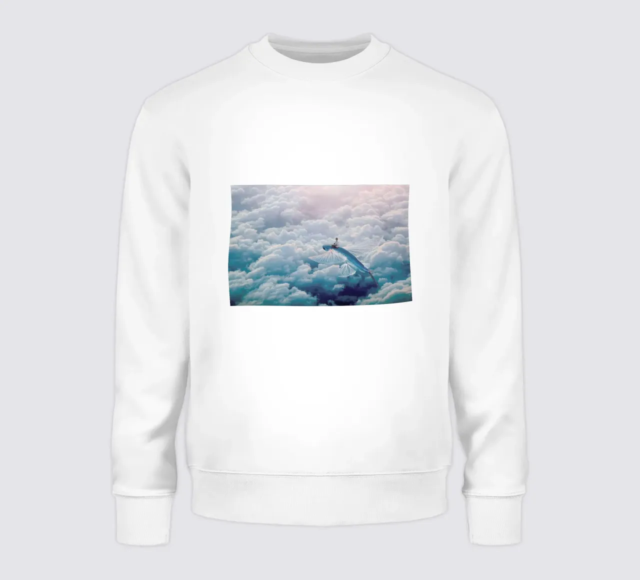 Plane sweatshirt van Eugene Soloviev
