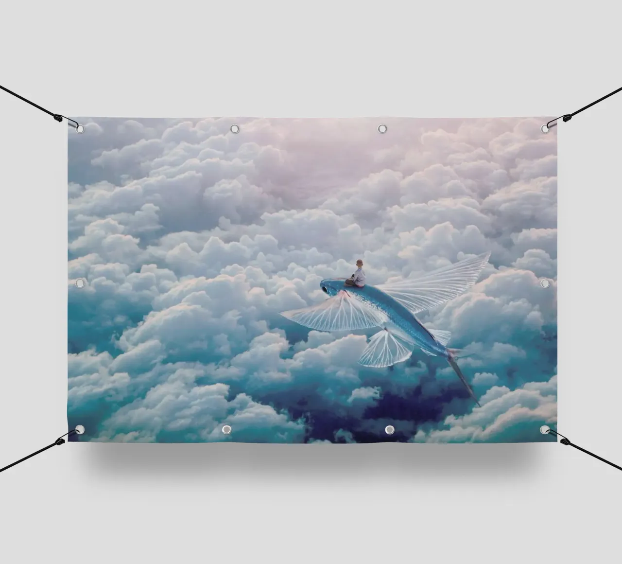 Plane telo in pvc da Eugene Soloviev