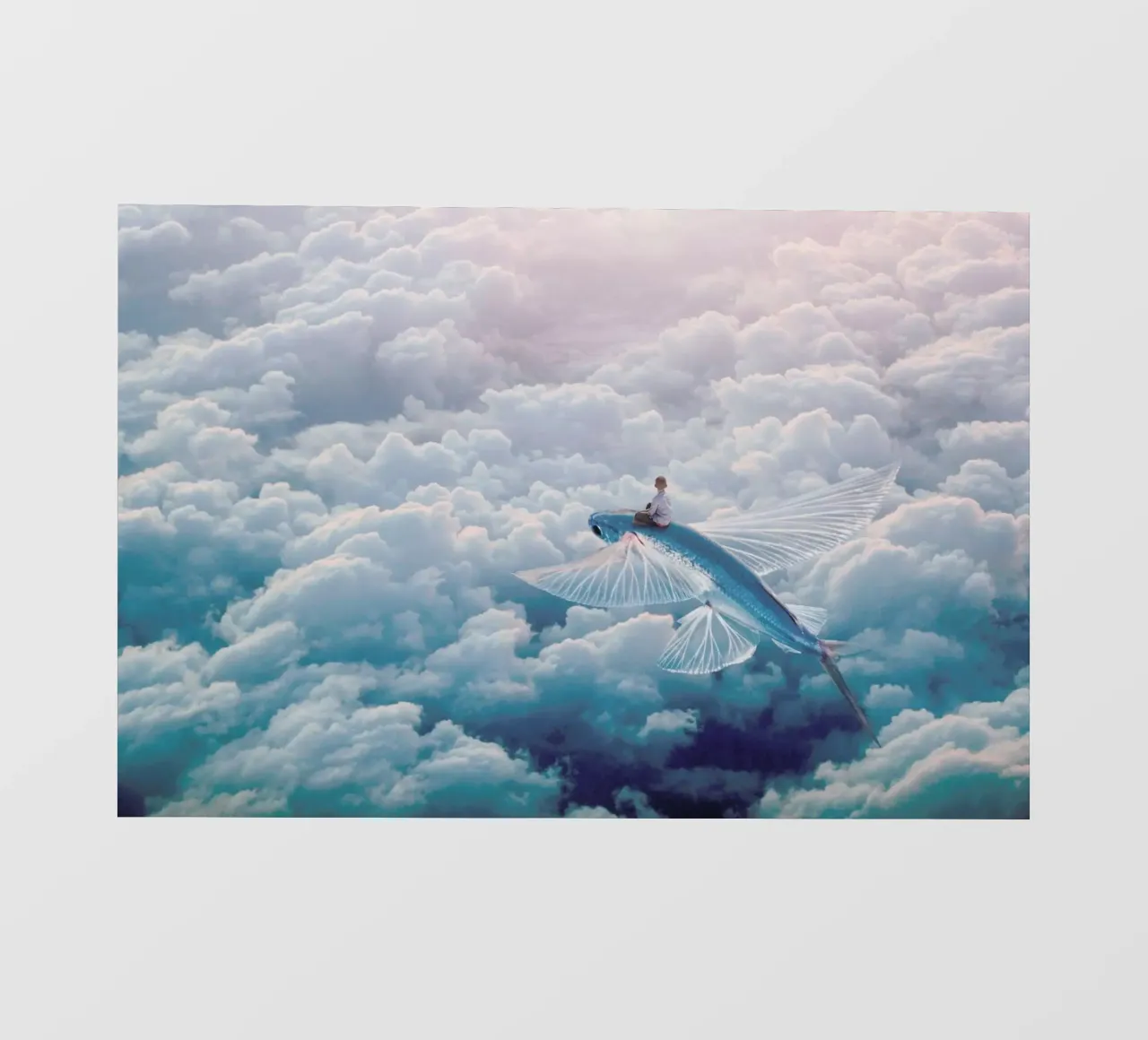 Plane telo in pvc da Eugene Soloviev