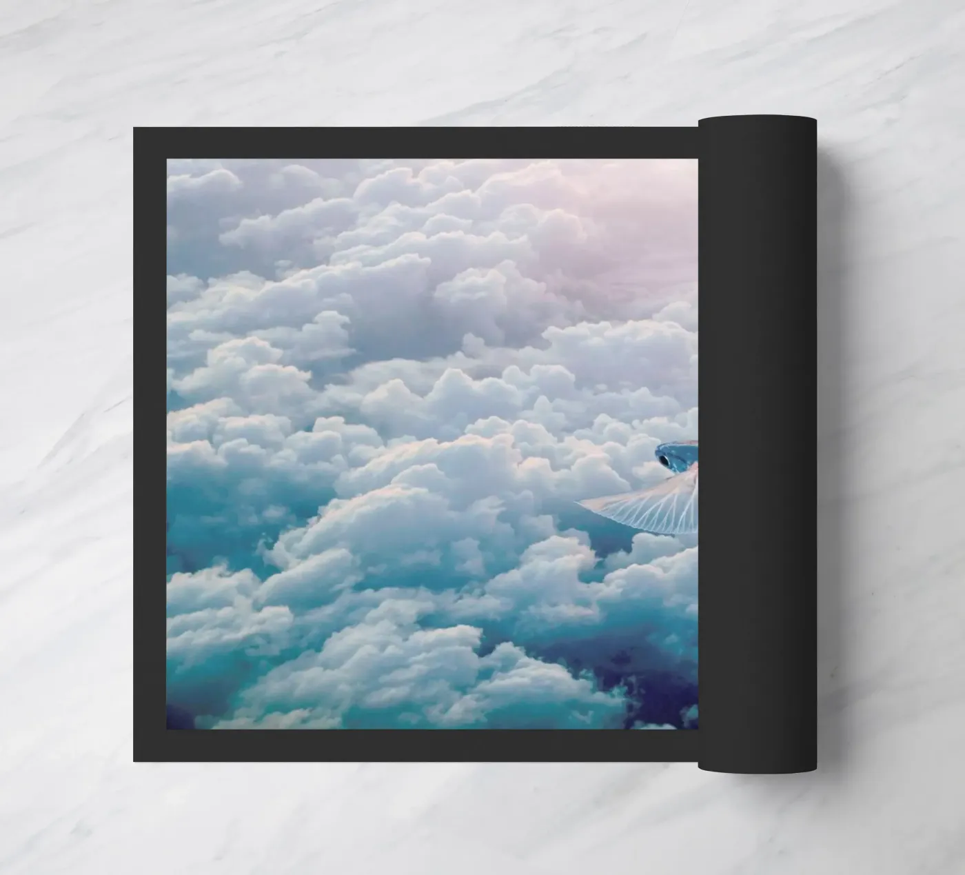 Plane zerbino da Eugene Soloviev