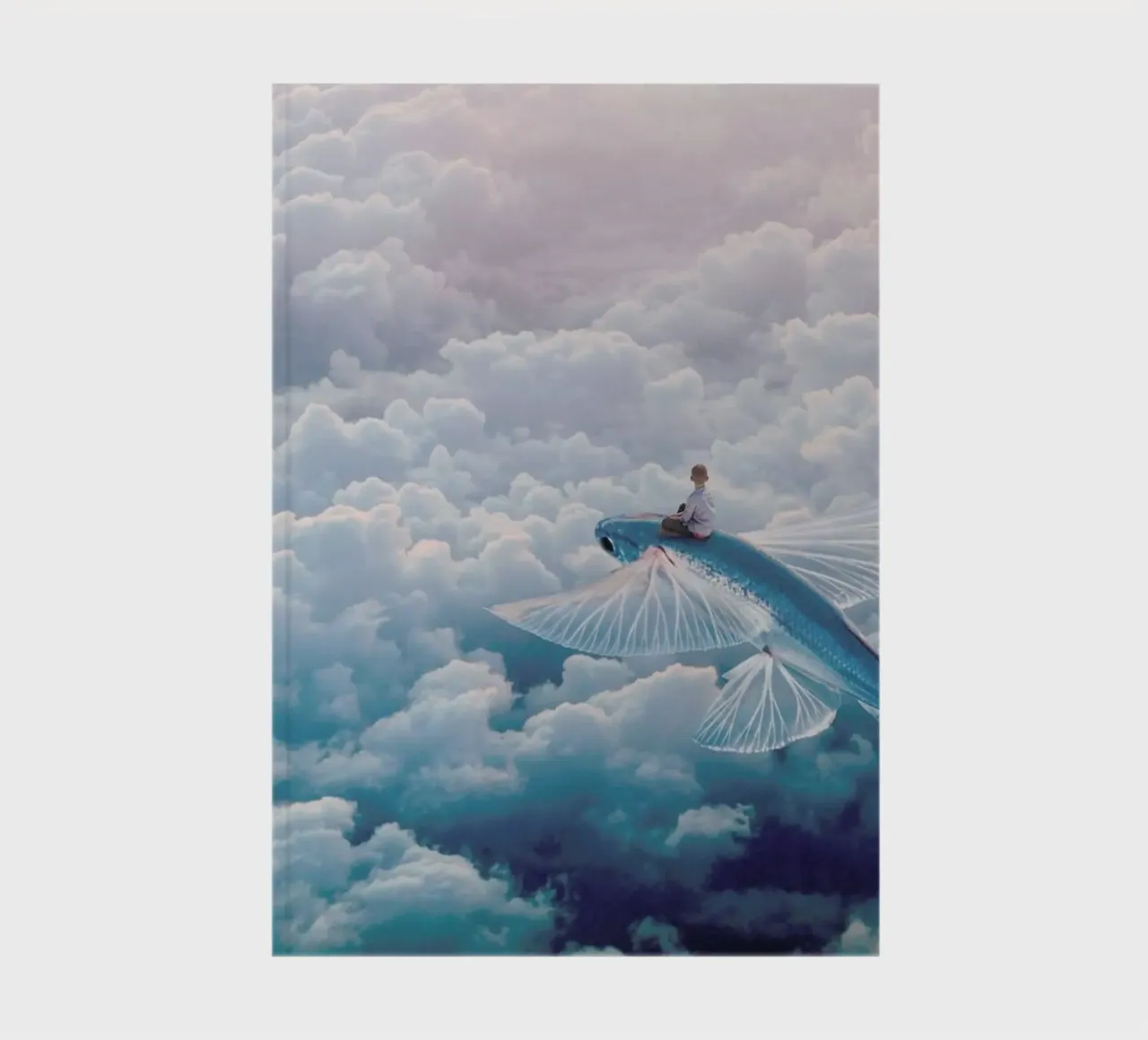Plane notebook by Eugene Soloviev