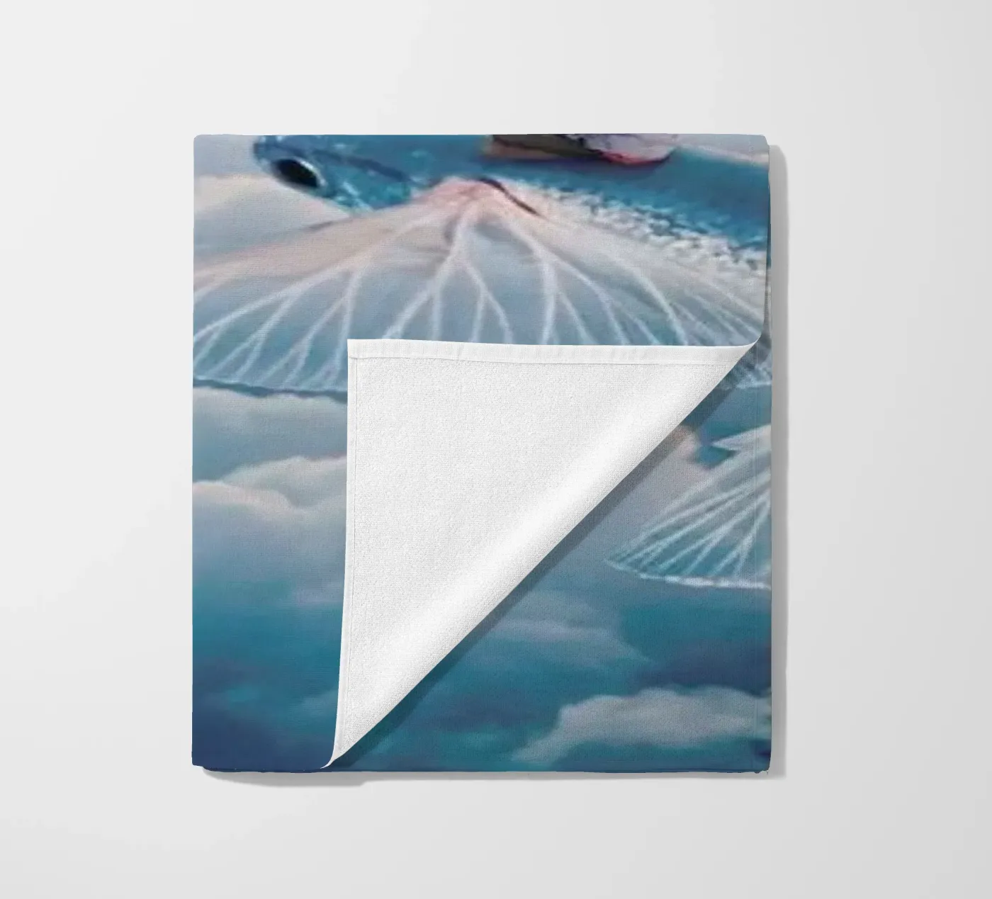 Plane strandhanddoek van Eugene Soloviev