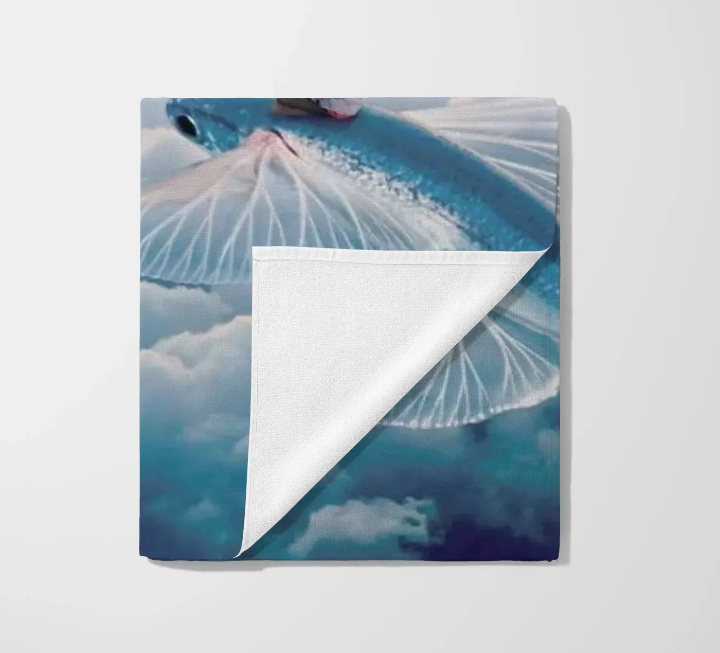 Plane strandhanddoek van Eugene Soloviev