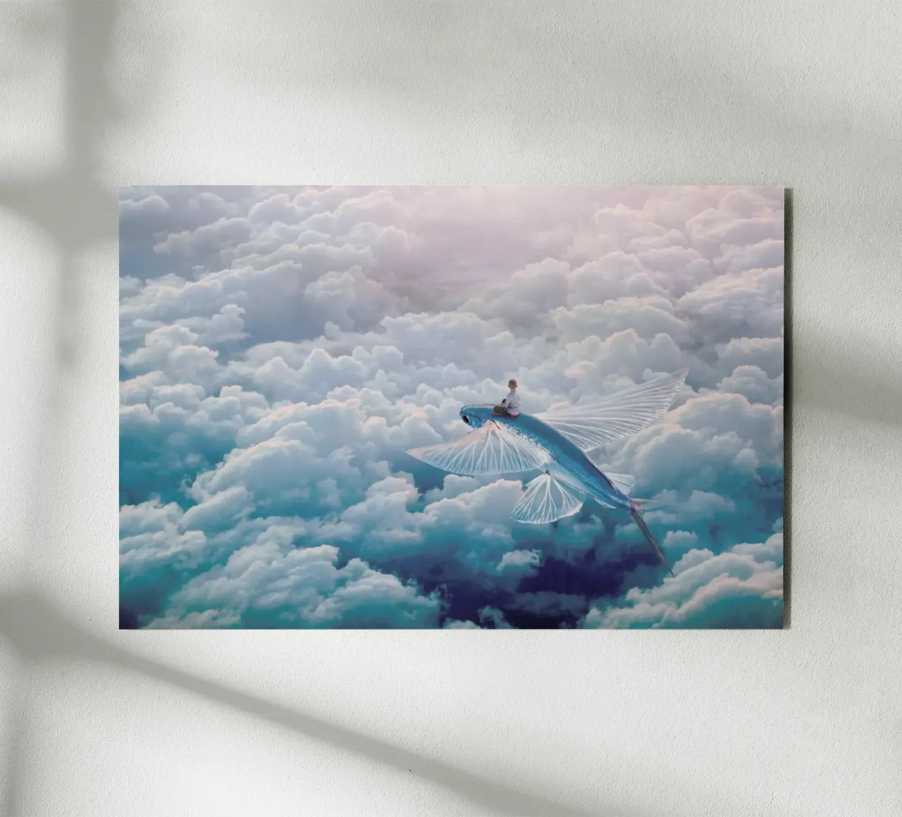 Plane alluminio dibond da Eugene Soloviev