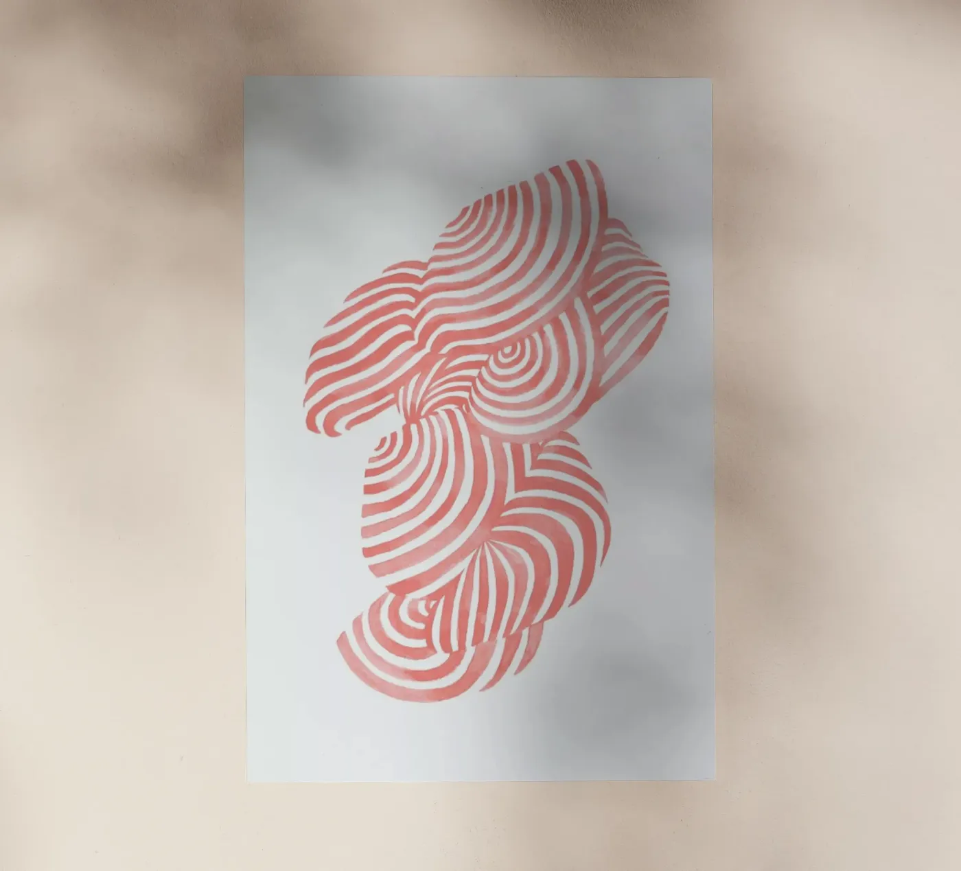 Sea Shells pellicola backlit da Laura O'Connor