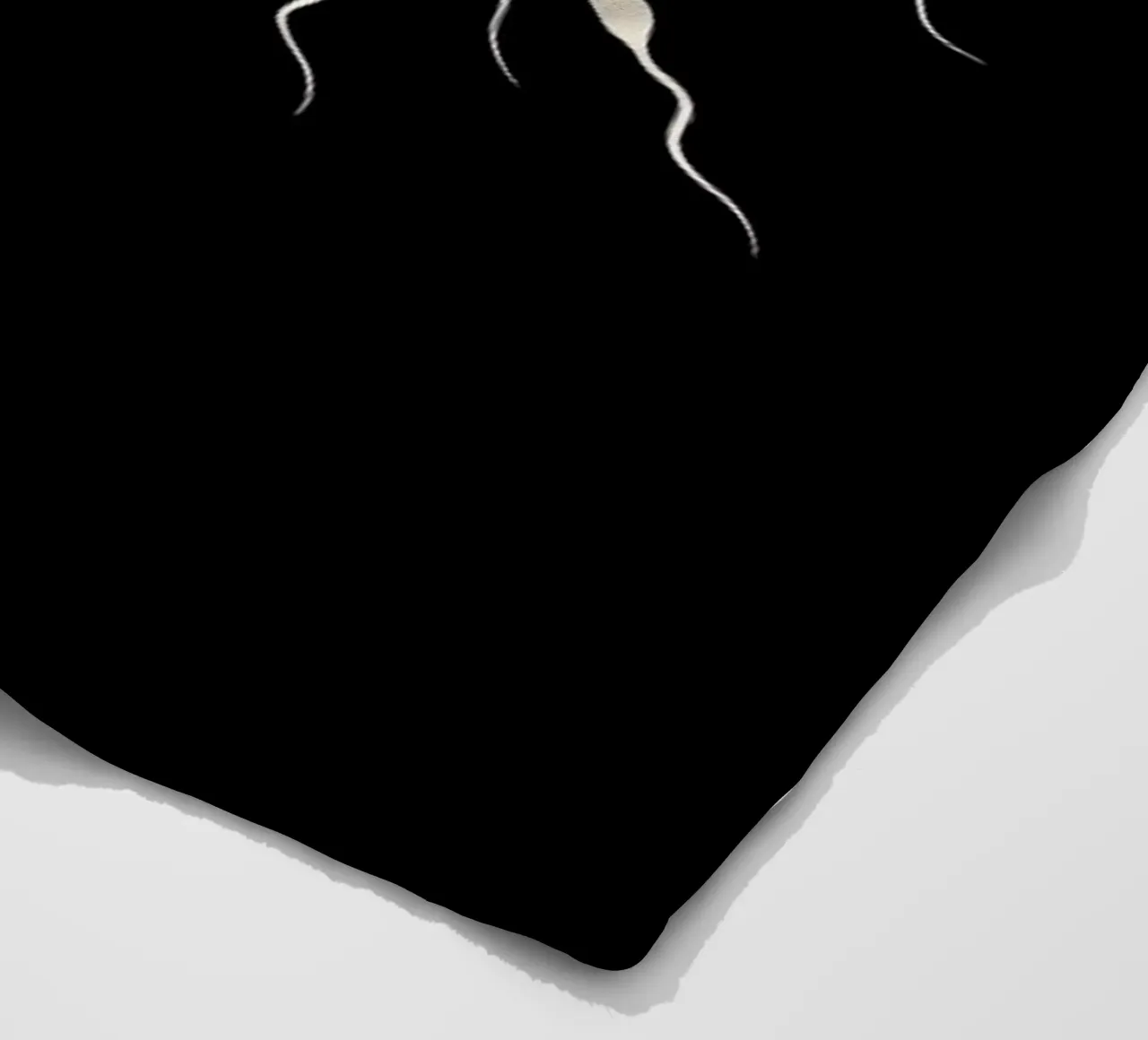 Give Life Back to Music coperta in pile da Viktor Hertz
