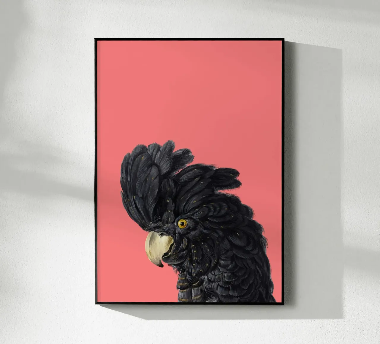 Kakadu plexiglass da Second Canvas