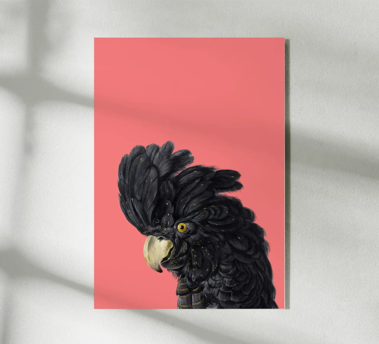 Kakadu plexiglass da Second Canvas