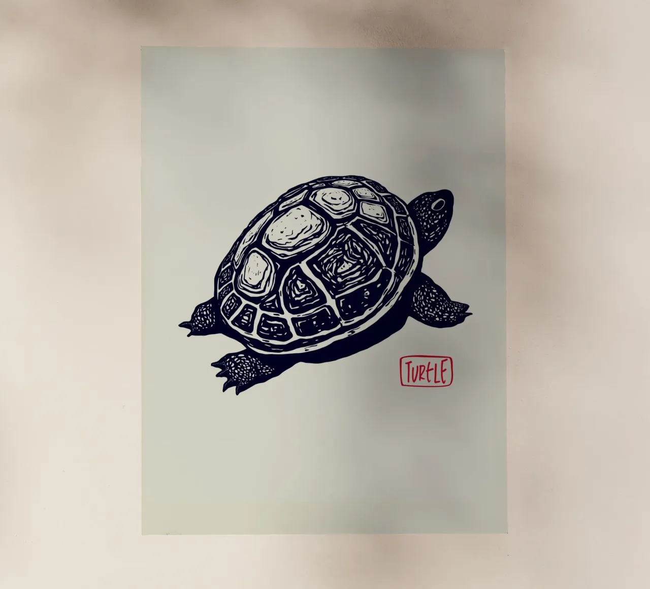 Timeless Turtle pellicola backlit da Indigo Rain