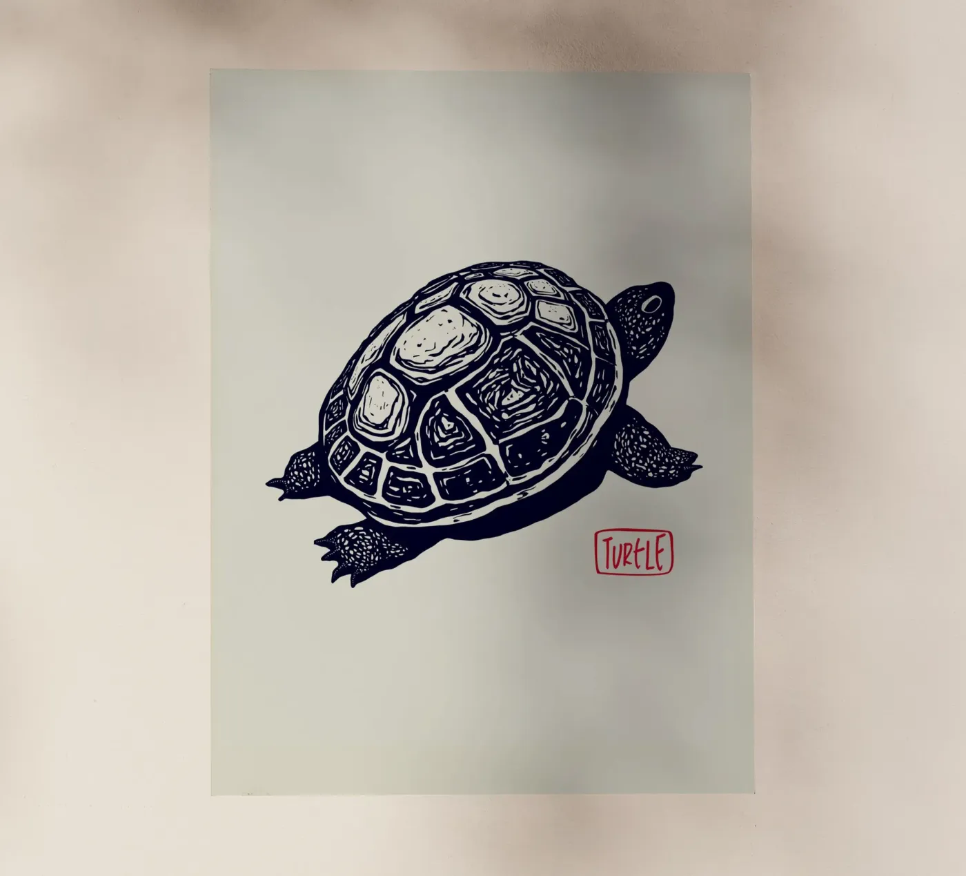 Timeless Turtle pellicola backlit da Indigo Rain