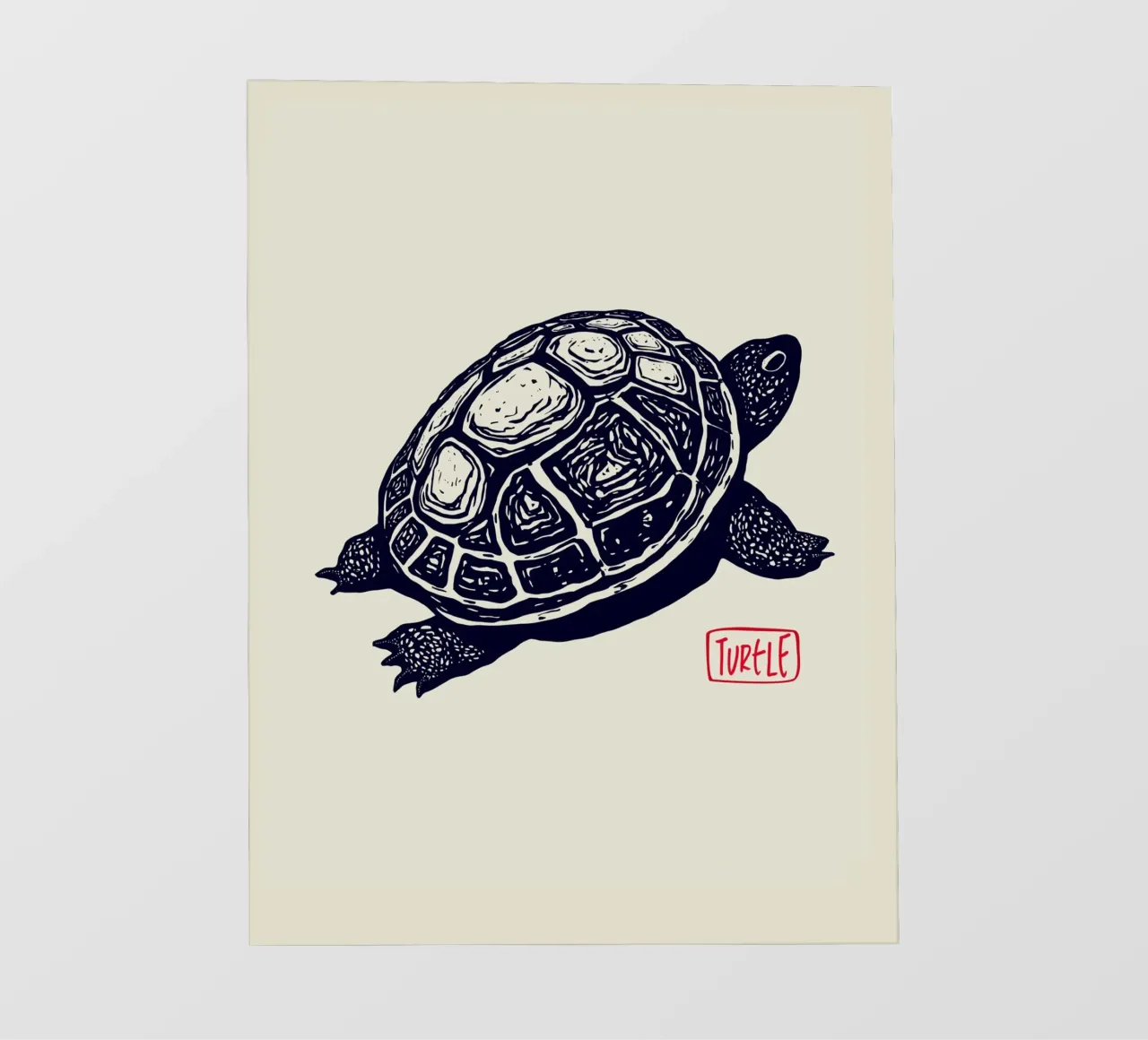 Timeless Turtle pellicola backlit da Indigo Rain