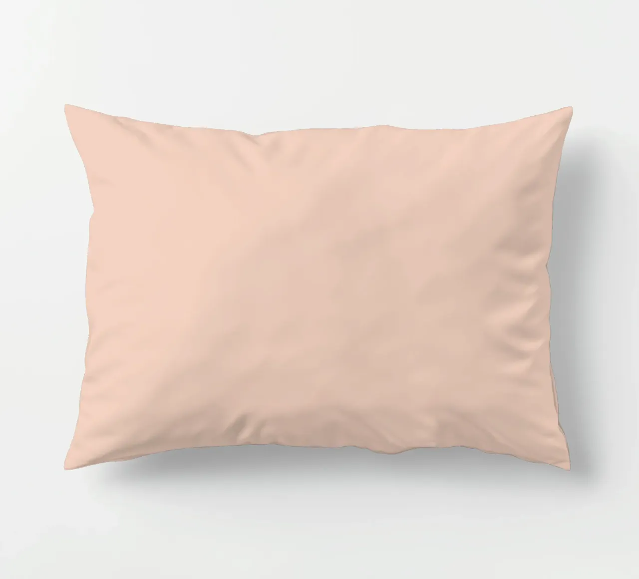 Smudge of Portrait Celine Dion in Recording Studio decorative cushion by Gunawan Rb