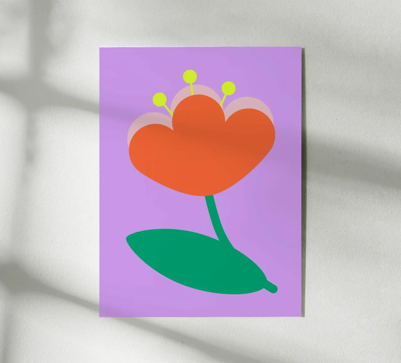 FUN Tulip plexiglass da All Colours