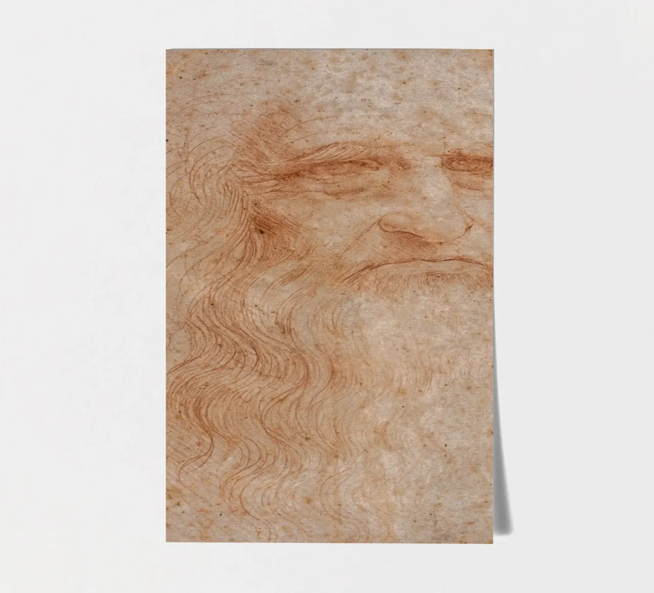 Leonardo da Vinci - Self-portrait, in 1512 sticker sheet by Timeless Artworks