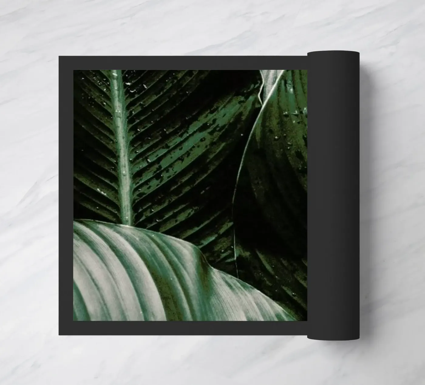 Palm Drops doormat by Chris Abatzis
