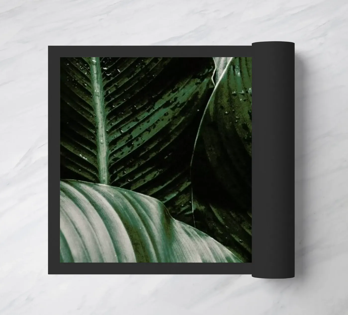 Palm Drops zerbino da Chris Abatzis