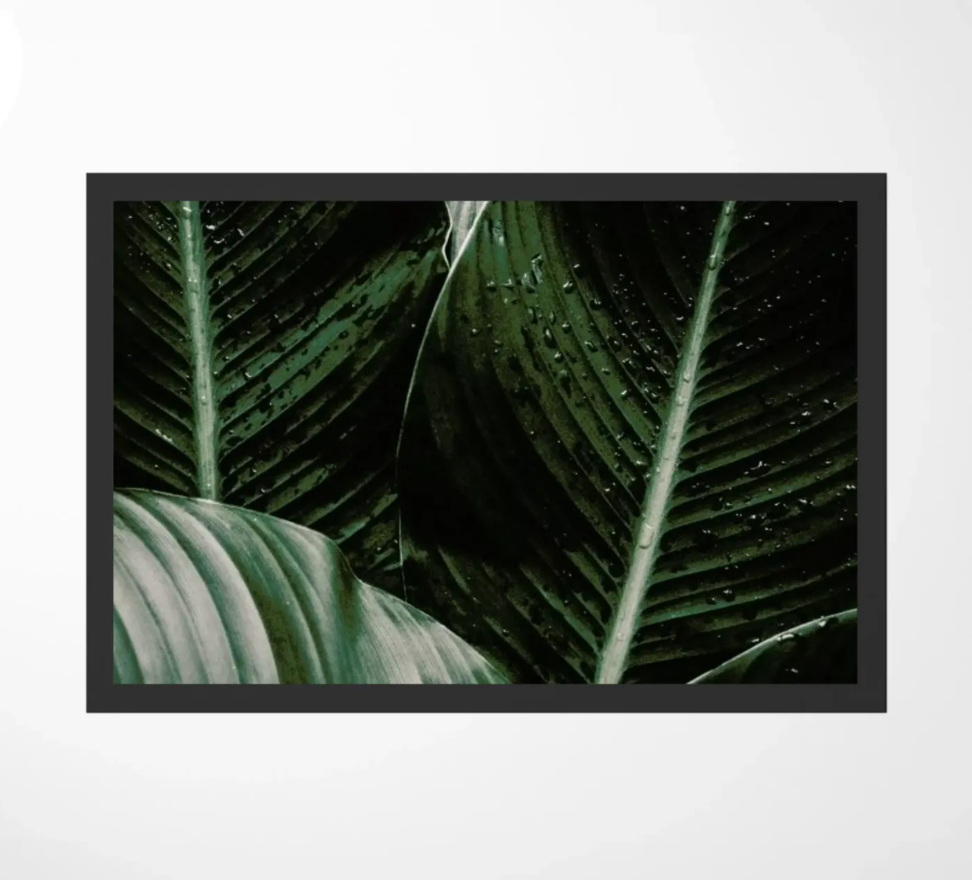 Palm Drops doormat by Chris Abatzis