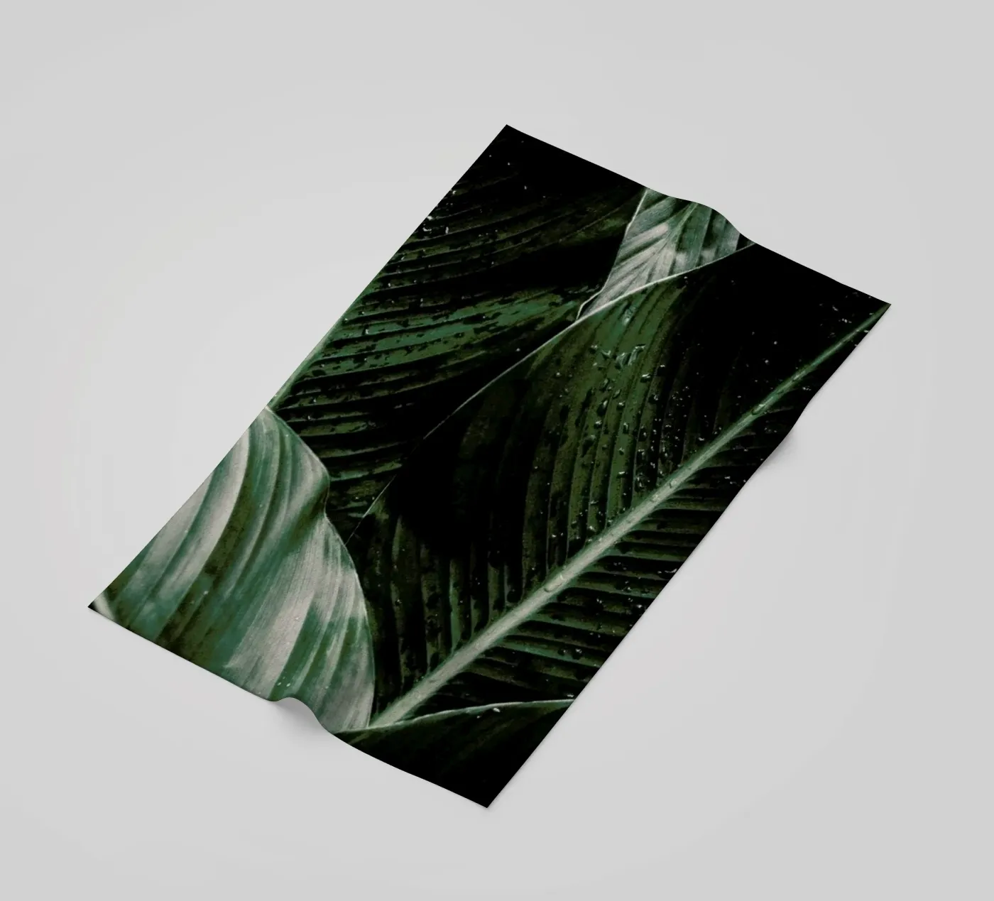 Palm Drops strandhanddoek van Chris Abatzis