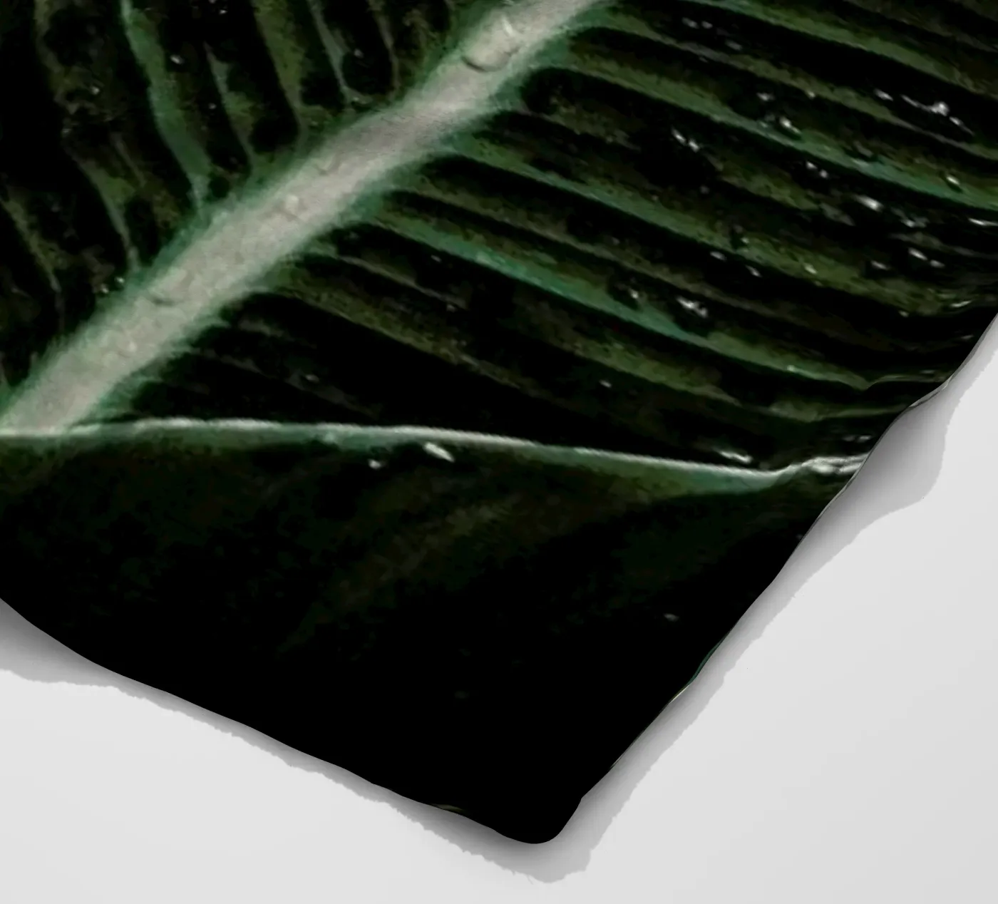 Palm Drops Fleecedecke von Chris Abatzis