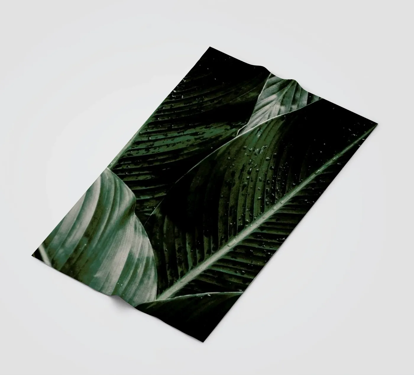 Palm Drops Fleecedecke von Chris Abatzis