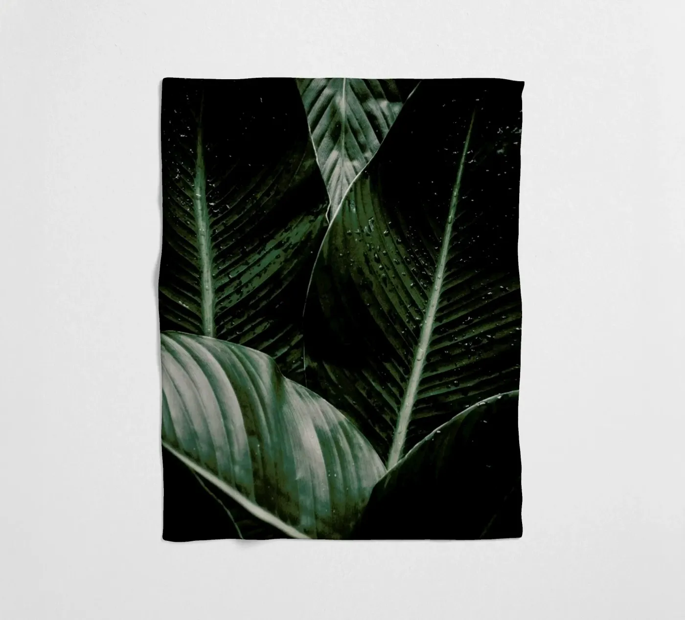 Palm Drops Fleecedecke von Chris Abatzis