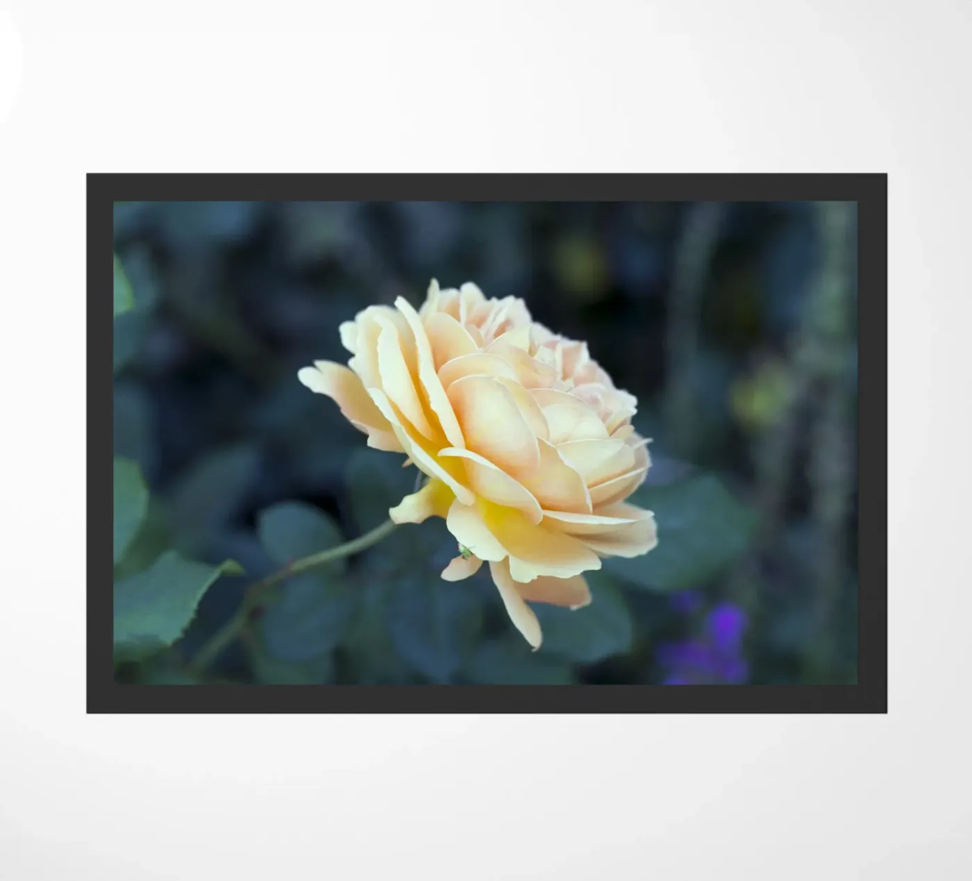 Rose Fußmatte von corvinamedia.design