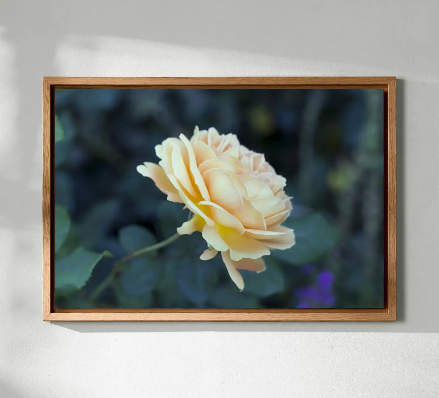 Rosa alluminio dibond da corvinamedia.design