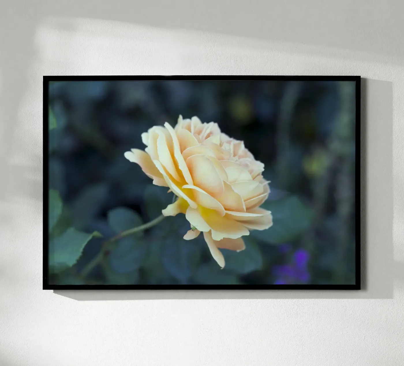 Rose Poster von corvinamedia.design