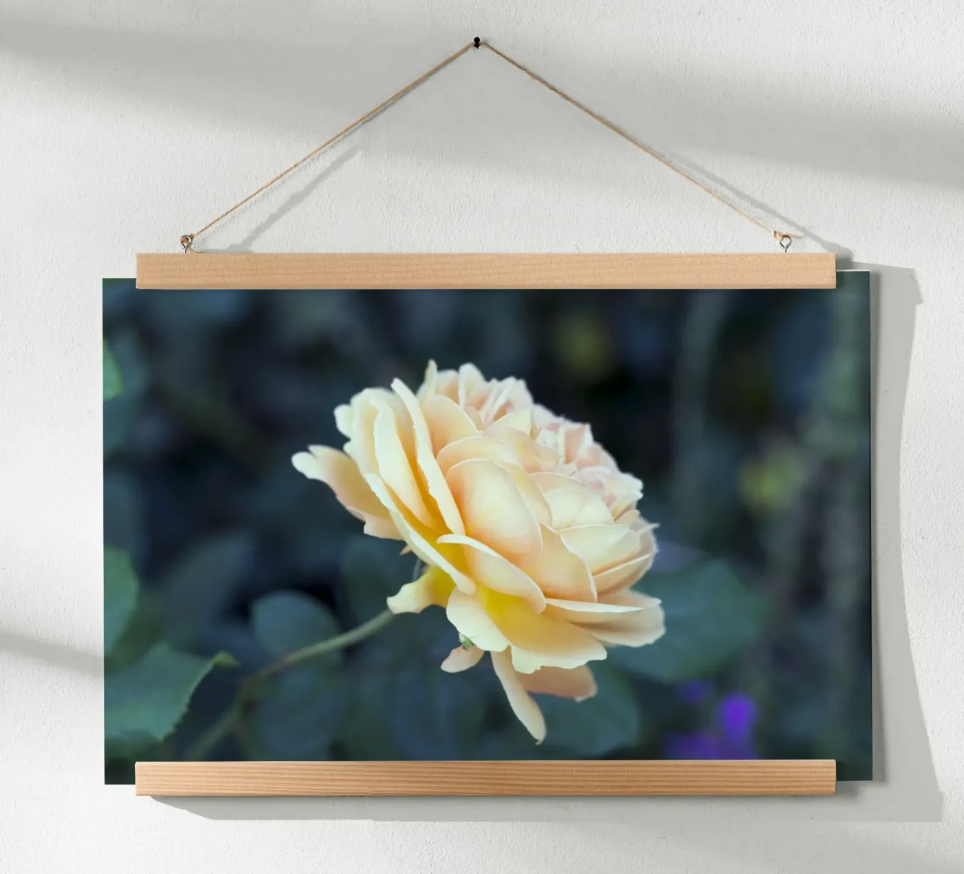 Rose Poster von corvinamedia.design