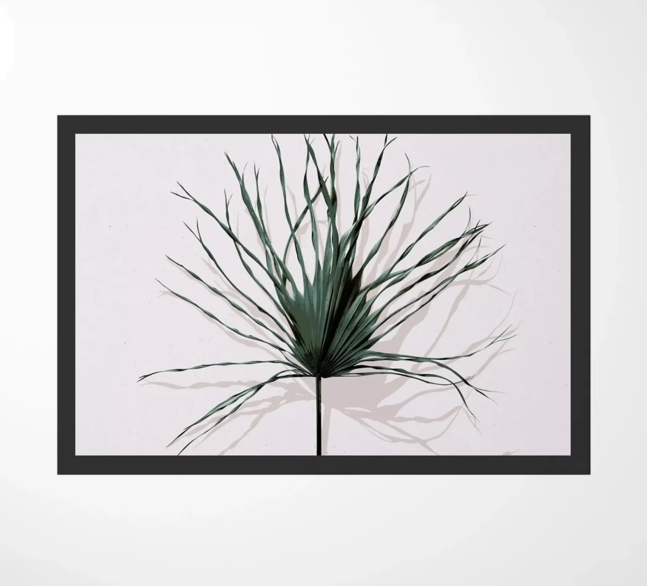 Solo zerbino da STUDIO LEEMO