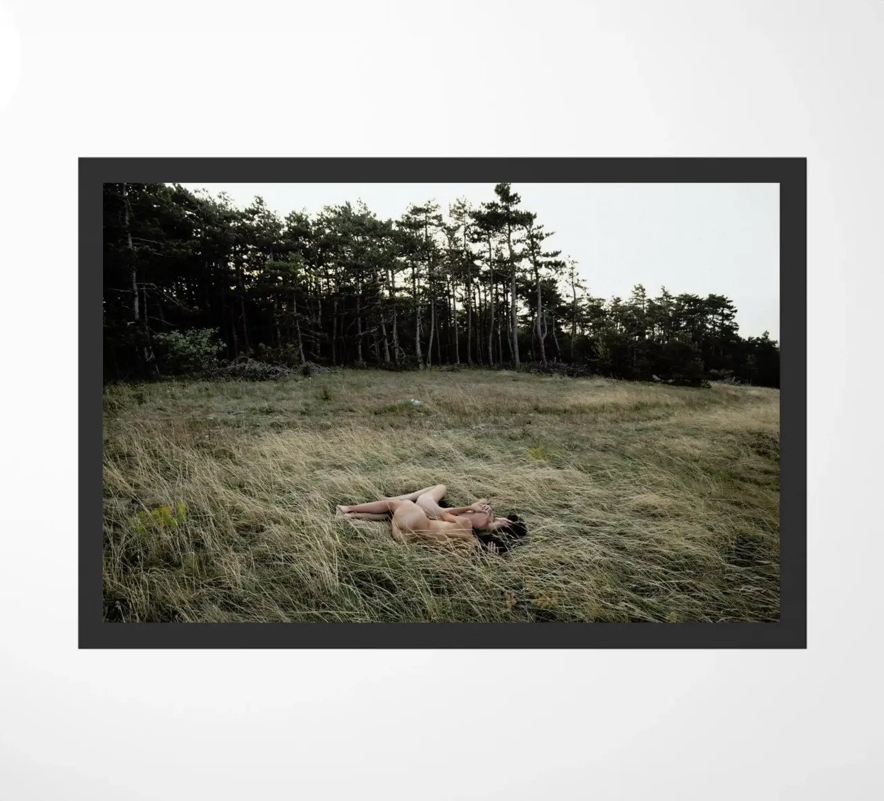 Merging zerbino da Matevž Kosterov