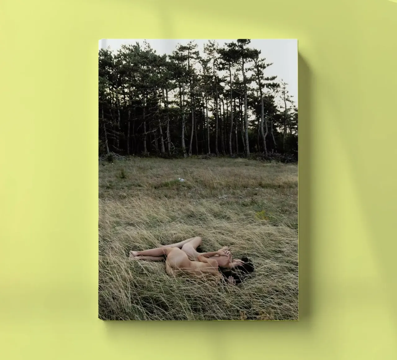 Merging notebook by Matevž Kosterov