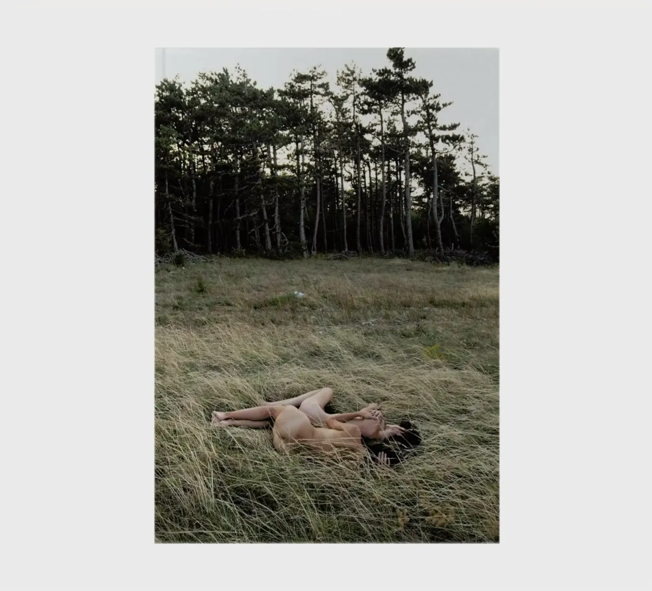 Merging notebook by Matevž Kosterov