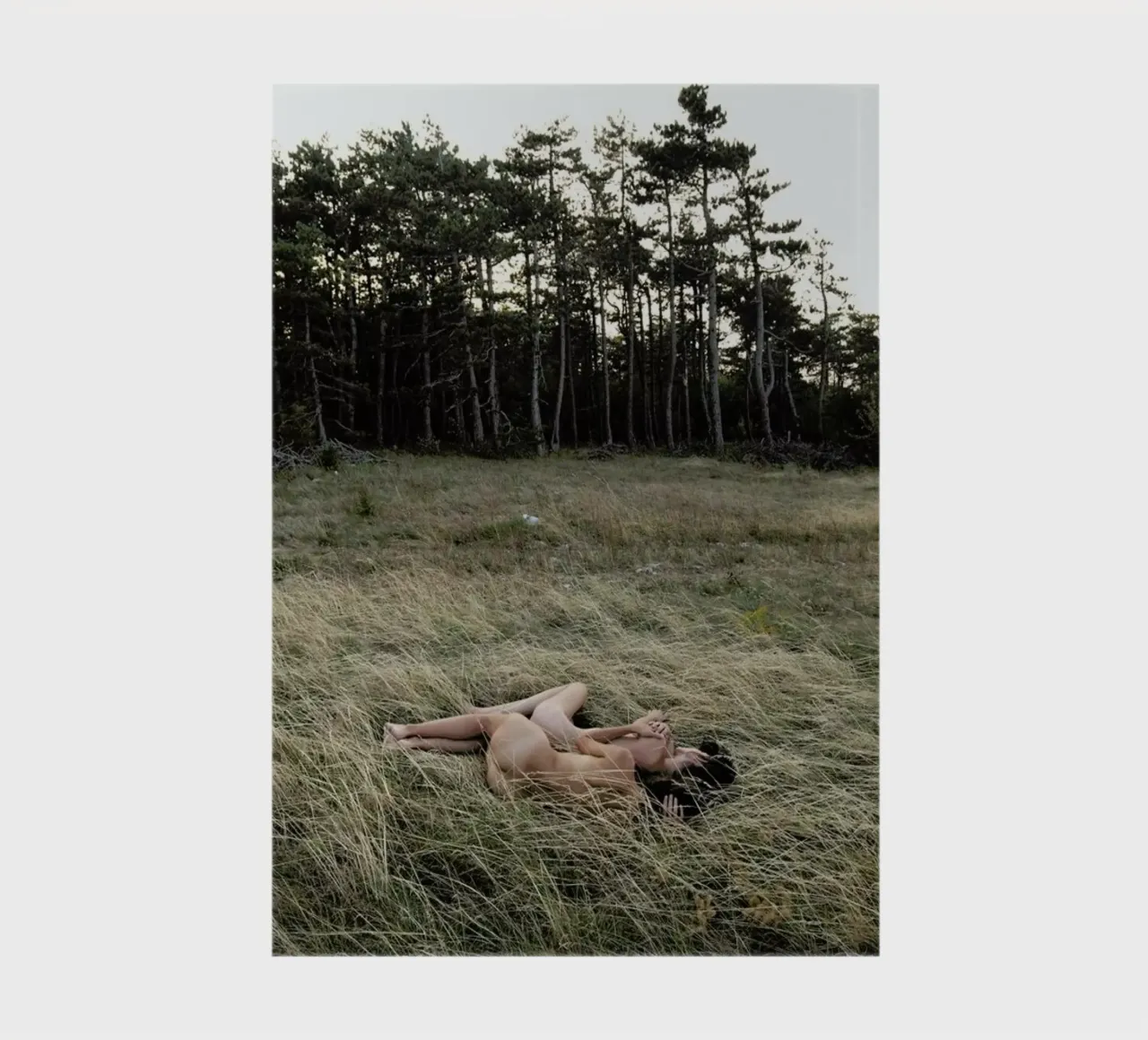 Merging notebook by Matevž Kosterov