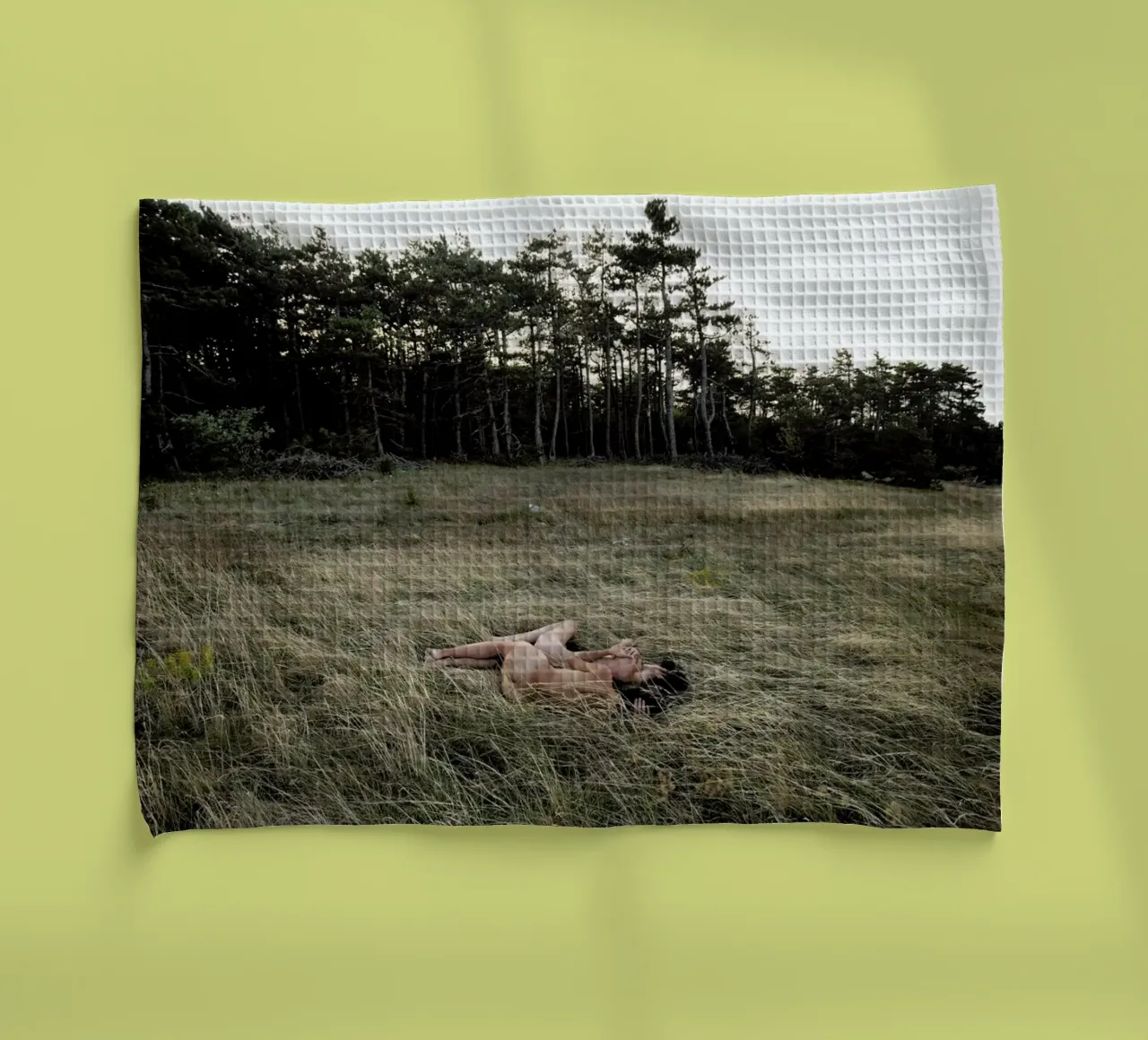 Merging canovaccio da cucina da Matevž Kosterov