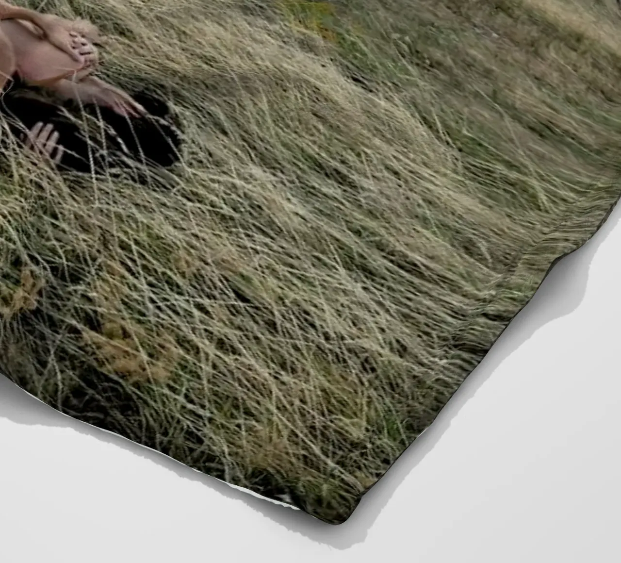 Merging Fleecedecke von Matevž Kosterov