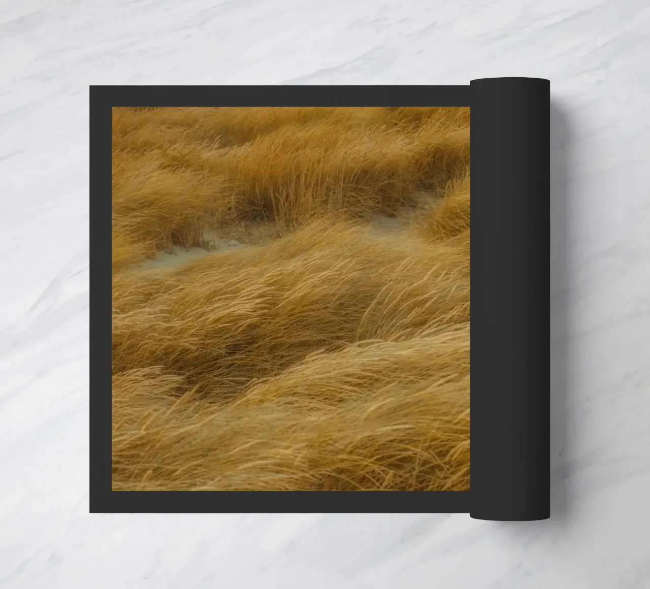 Dune di Skagen zerbino da thetraveller
