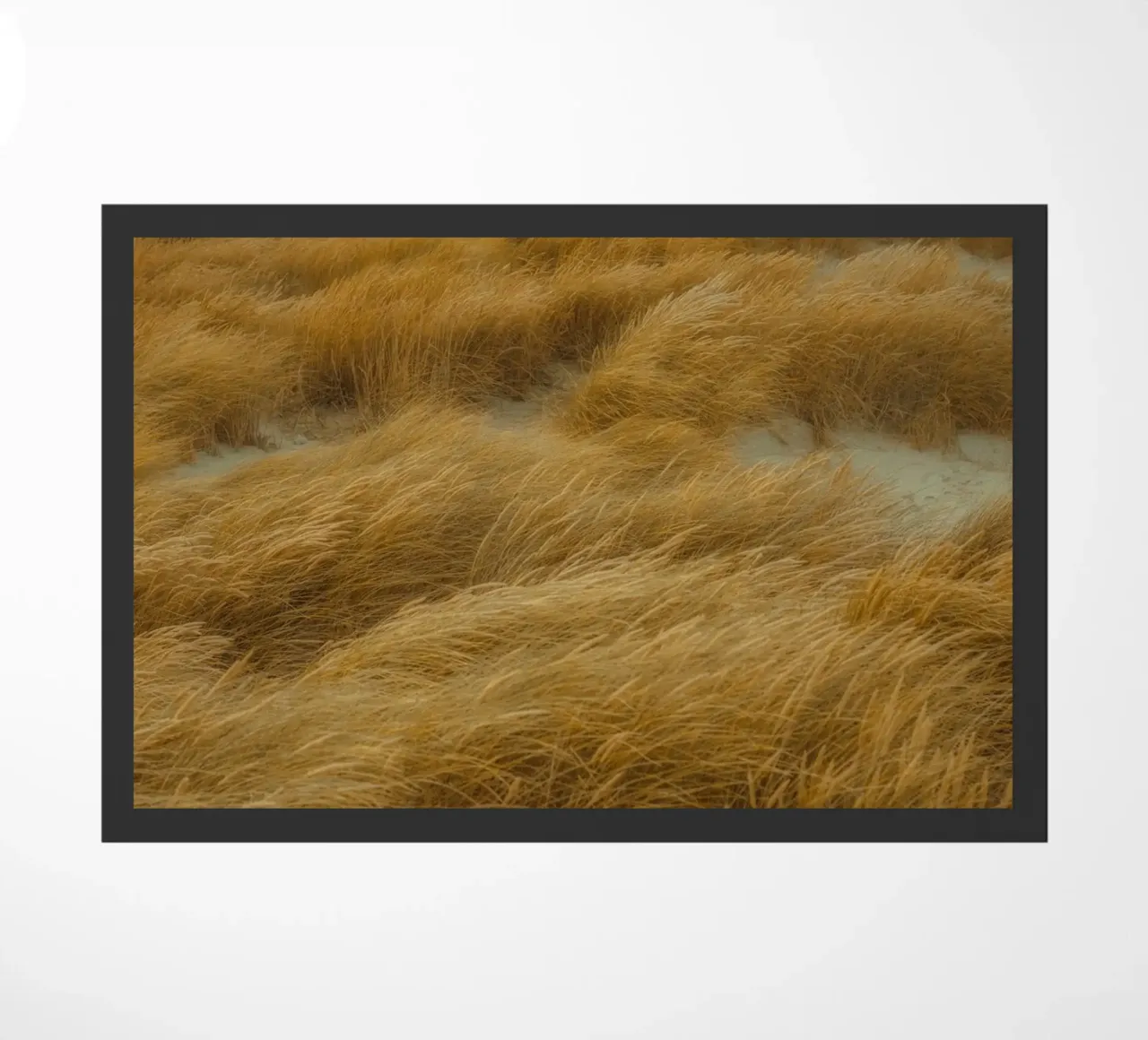 Dune di Skagen zerbino da thetraveller