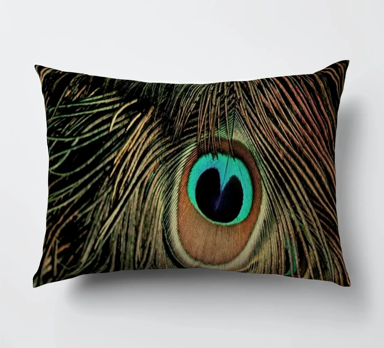 Peacock Feathers cuscino da Ingrid Beddoes