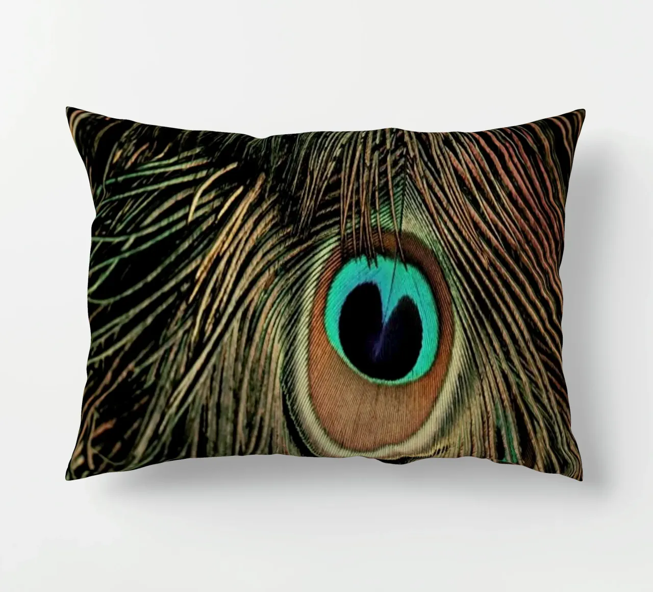 Peacock Feathers cuscino da Ingrid Beddoes