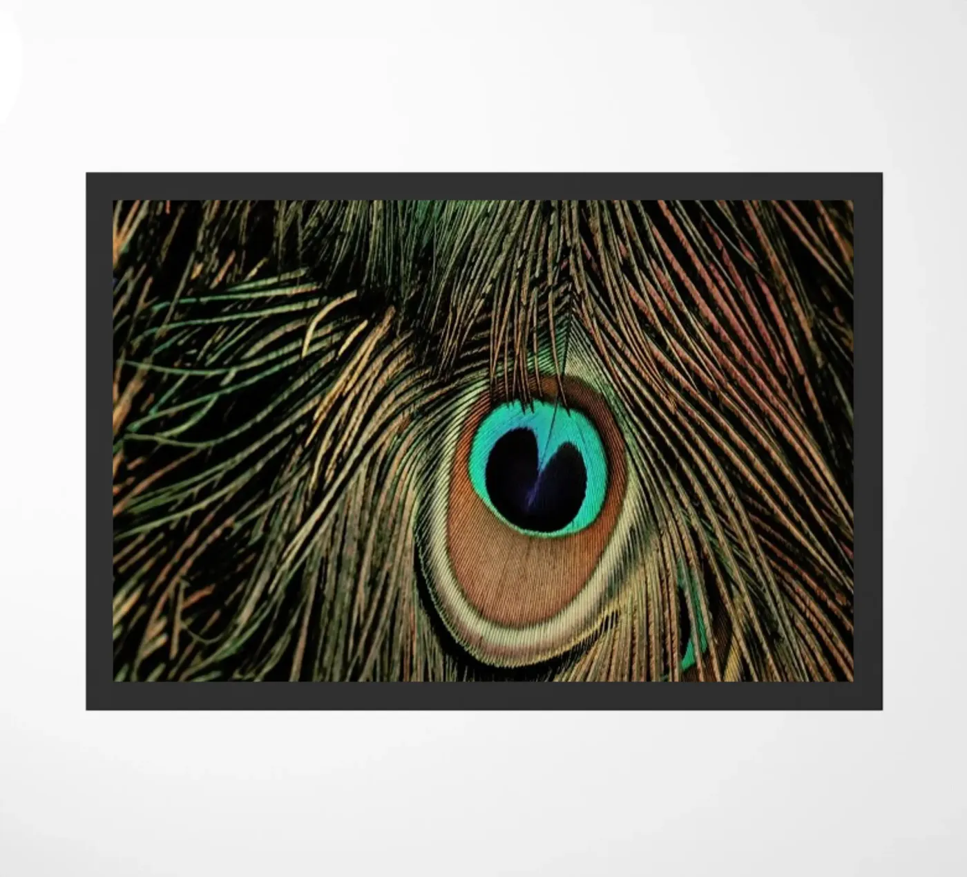 Peacock Feathers zerbino da Ingrid Beddoes