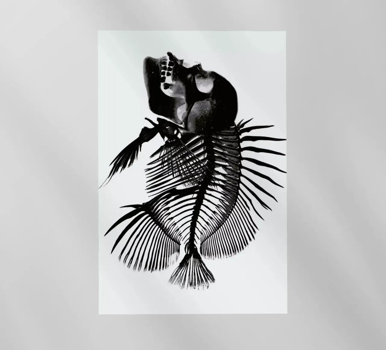 Fishskull pellicola backlit da a Love Supreme