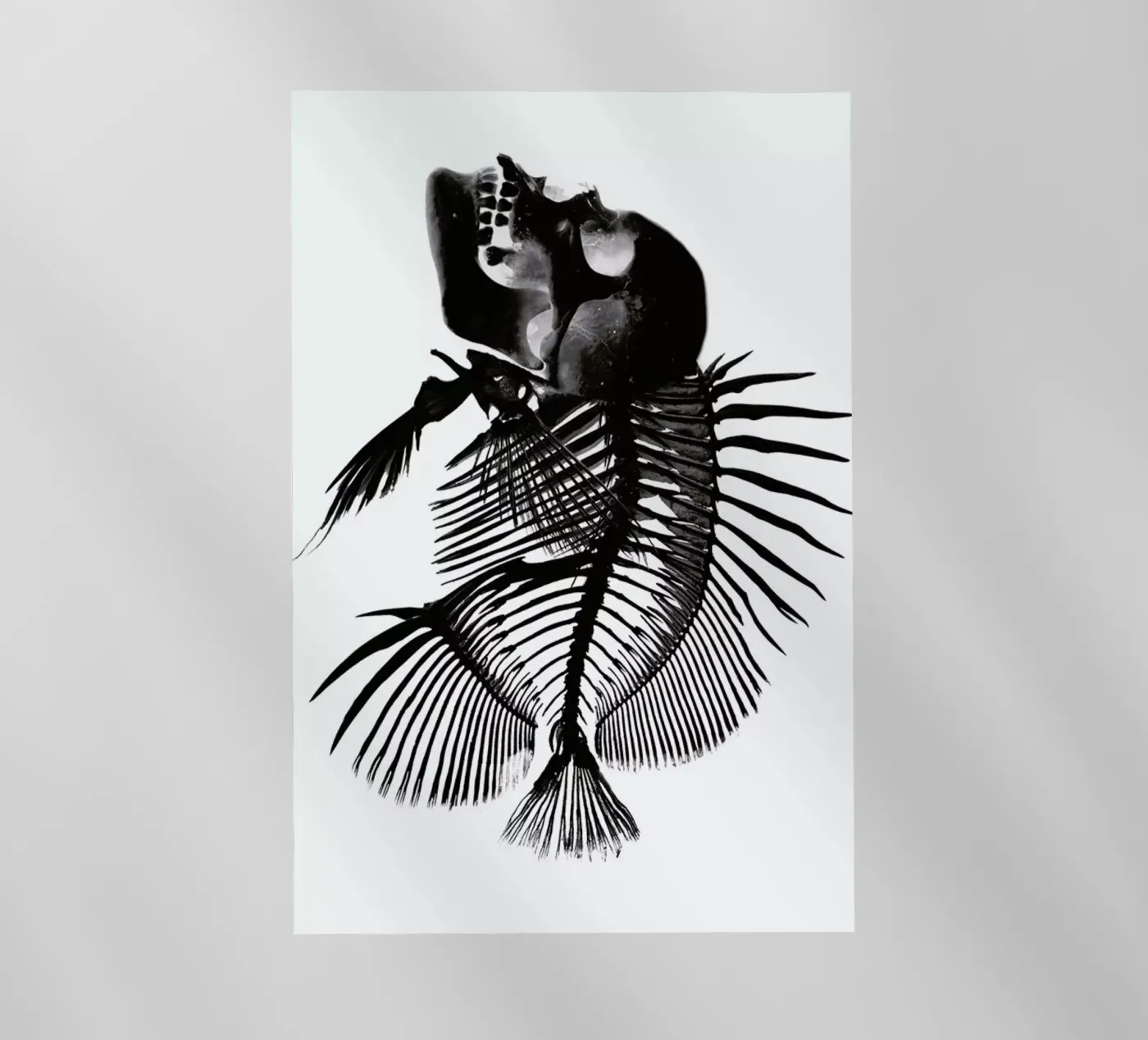 Fishskull pellicola backlit da a Love Supreme