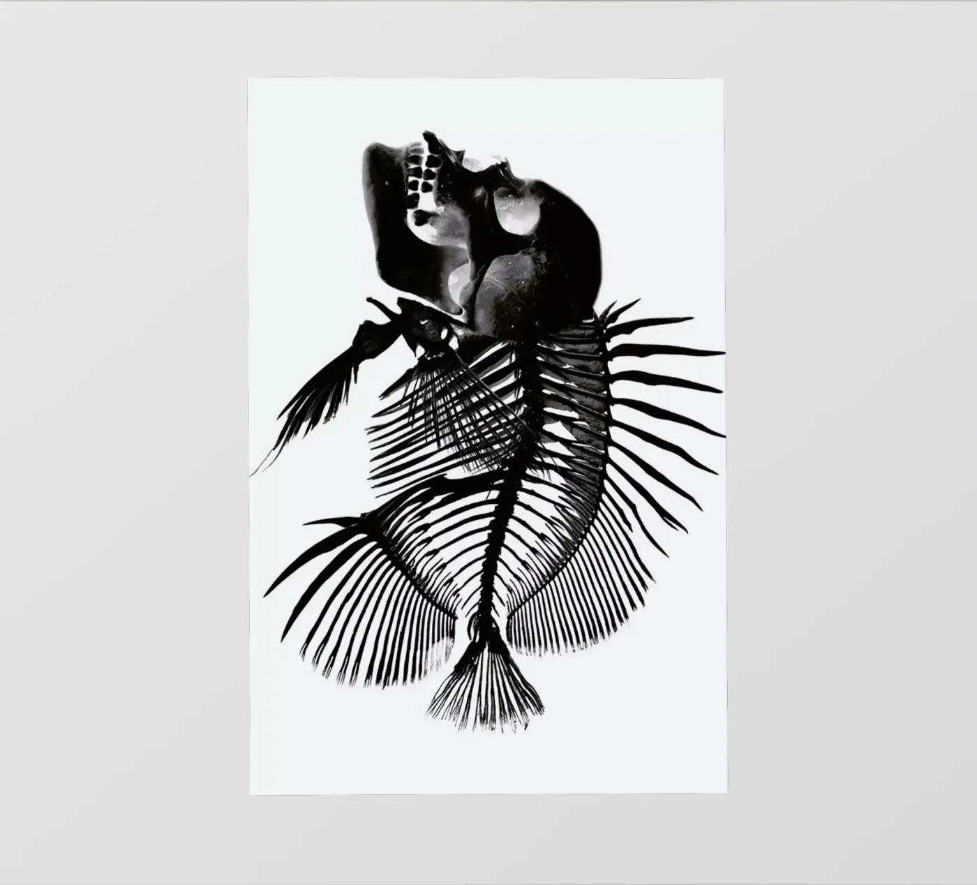 Fishskull pellicola backlit da a Love Supreme