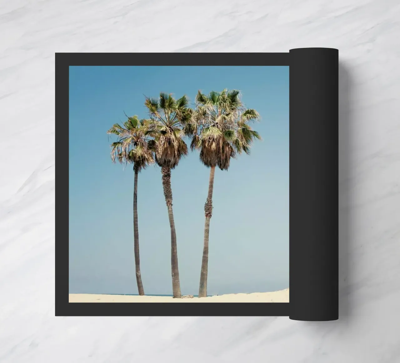 Venice Beach Palms zerbino da Catherine McDonald