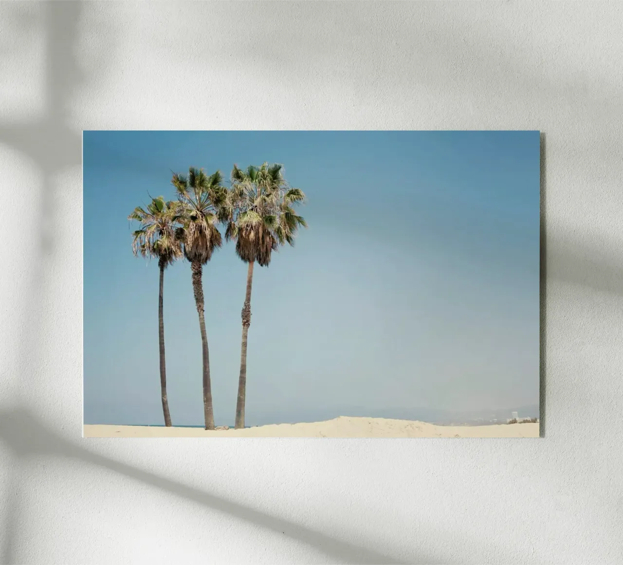Venice Beach Palms acryl van Catherine McDonald